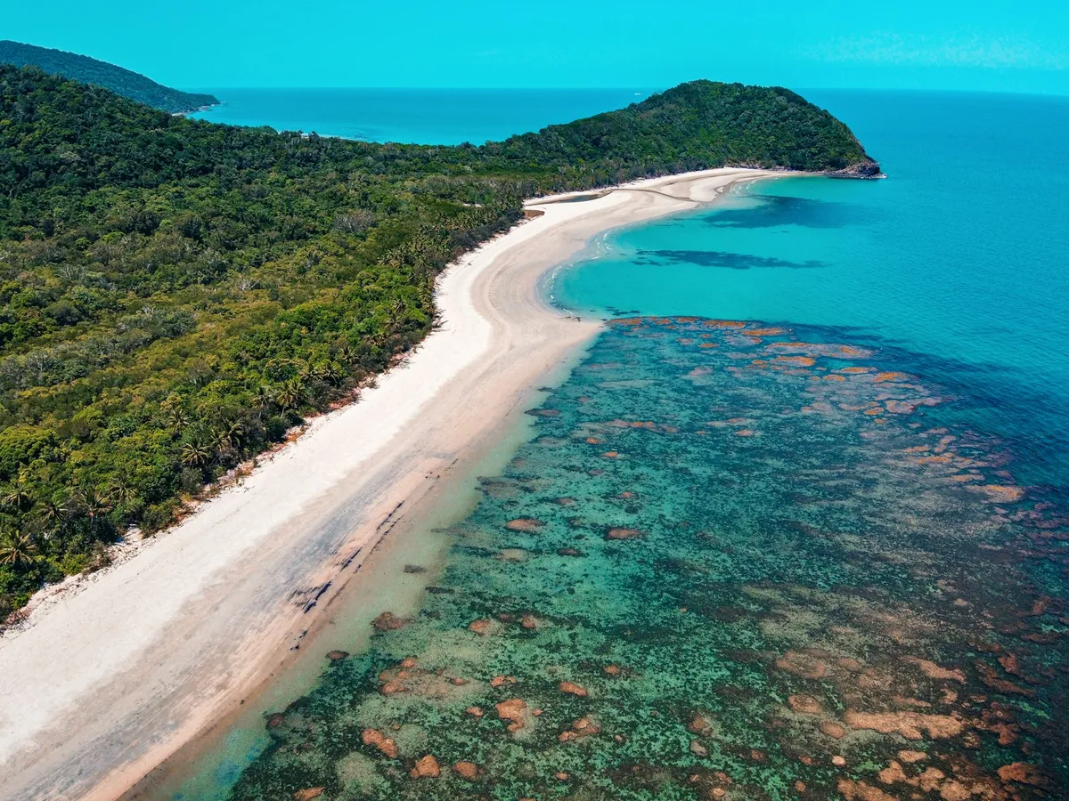 Aerial view of the Daintree Rainforest tumbling down to meet the coastline at Cape Tribulation, Queensland