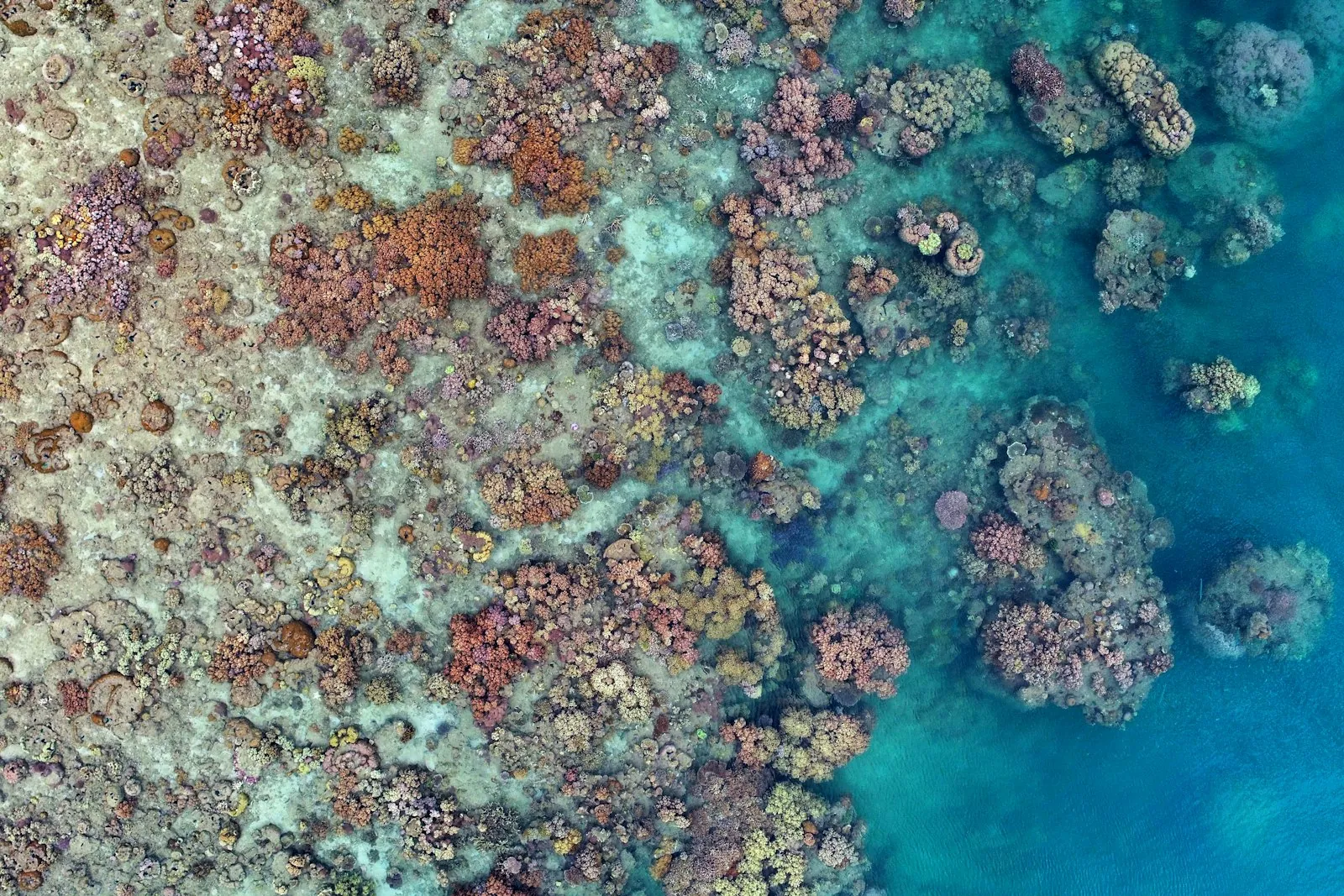 Aerial drone view of Pelorus Reef in the Great Barrier Reef, Queensland