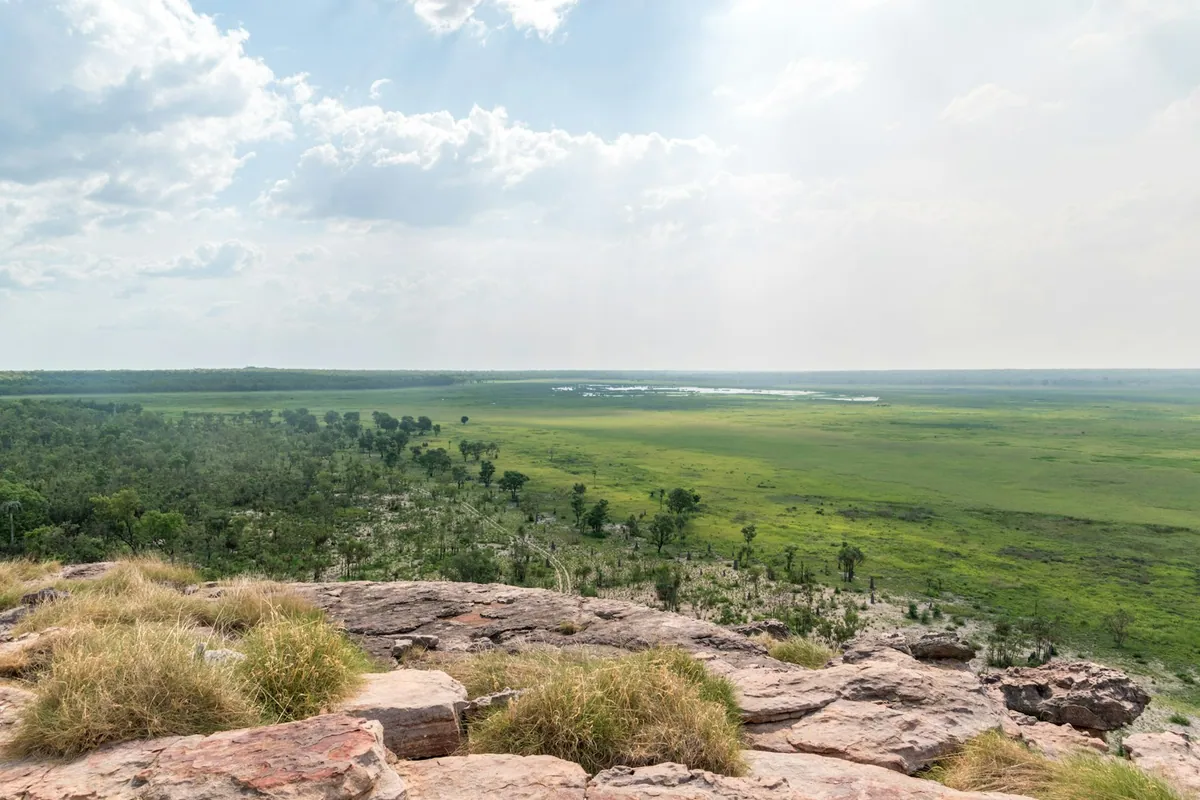 Tropical savanna grasslands and wetlands inside Kakadu National Park, Northern Territory