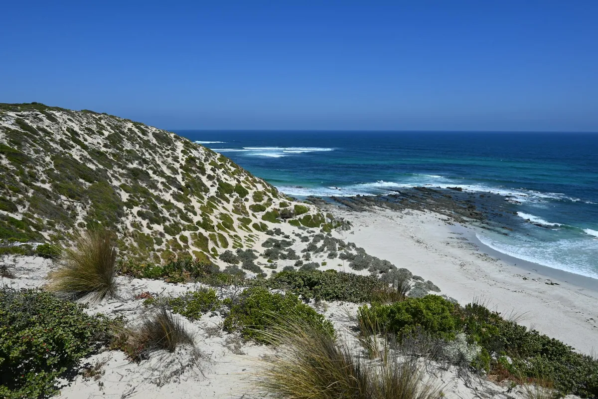 Easterly view of Seal Bay beach from the lookout in Seal Bay Conservation Park, Kangaroo Island