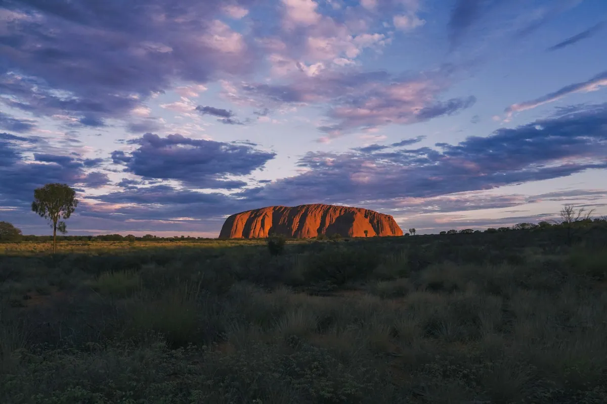 Uluru on the open plain with desert scrub in the foreground at sunset