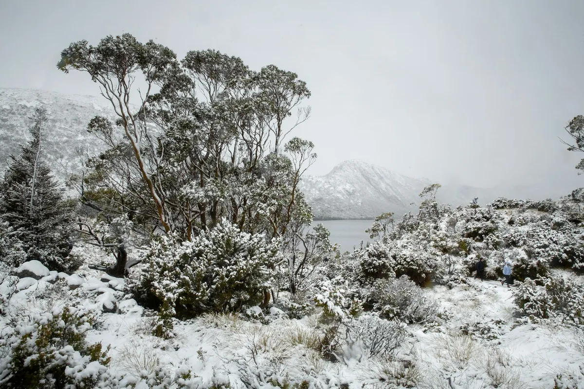 Snow-covered Dove Lake and peaks at Cradle Mountain National Park in Tasmania