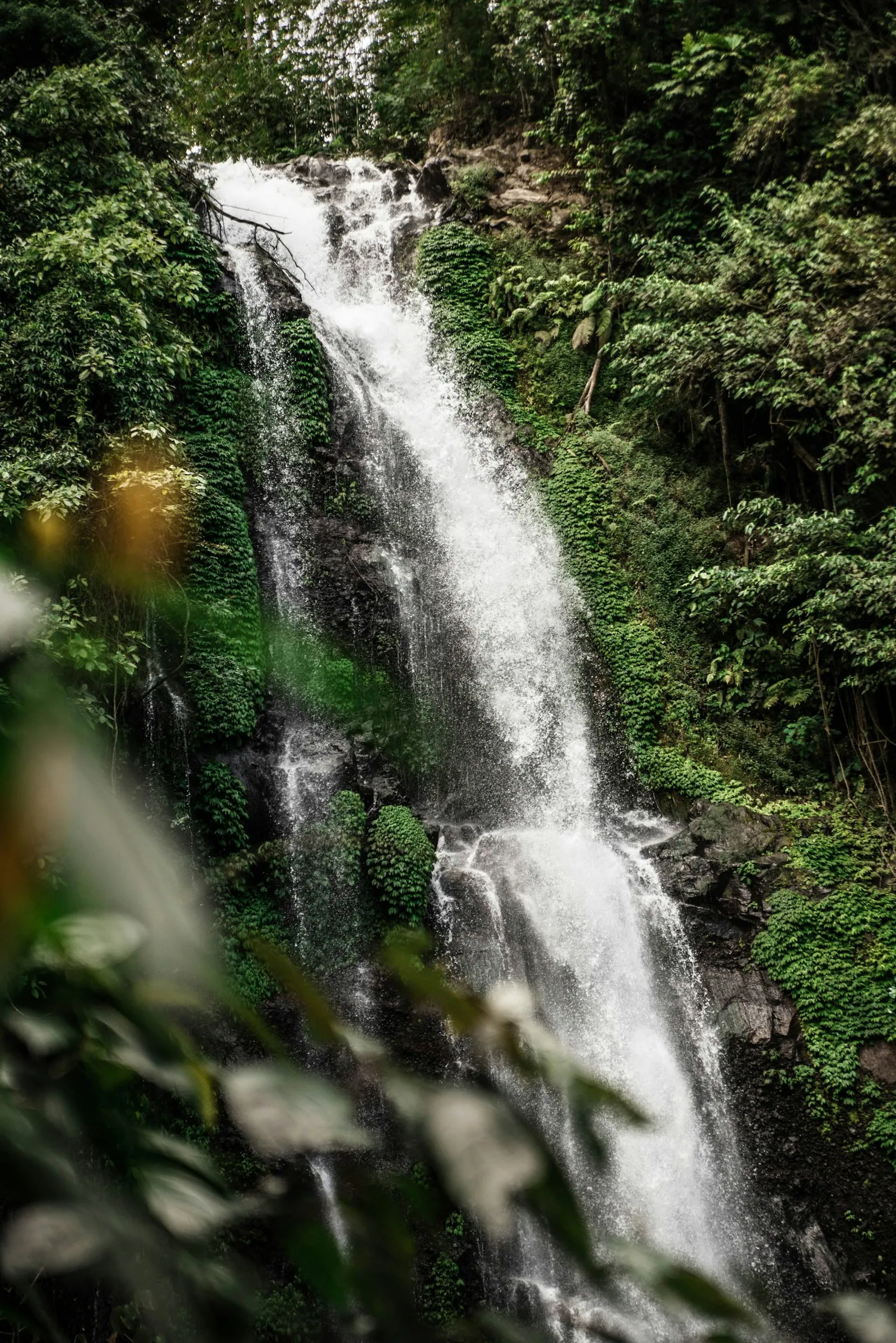 Melanting Waterfall amid jungle in Munduk, North Bali
