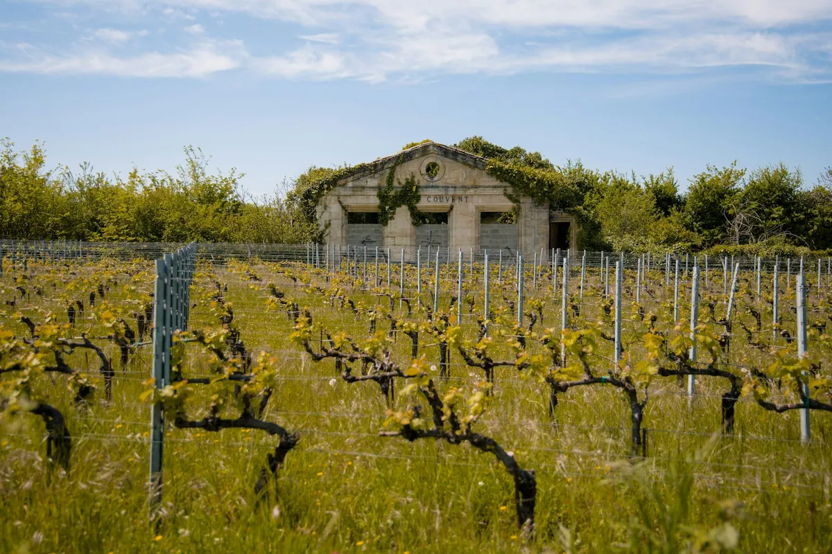Stone chateau surrounded by rows of vines in Saint-Emilion