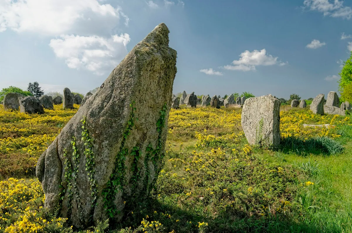 Field of standing menhirs at Carnac, Brittany