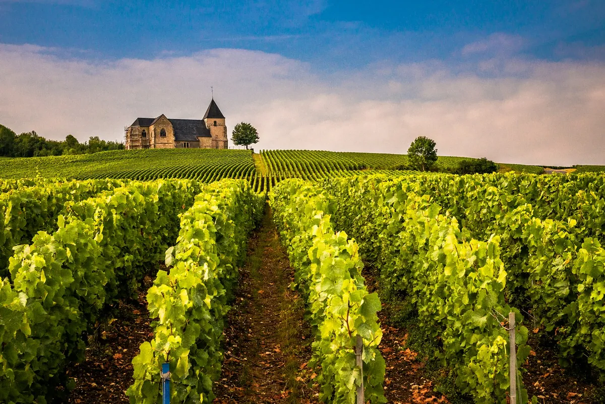 Eglise Saint-Martin de Chavot above champagne vineyards, Chavot-Courcourt