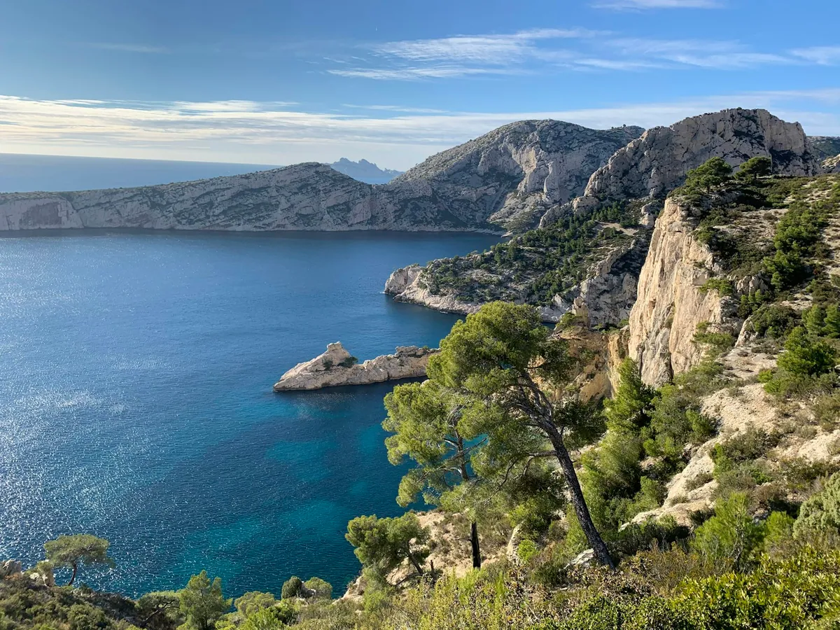Limestone cliffs and pines above turquoise water in the Calanques de Marseille