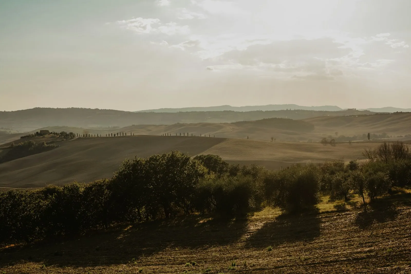 Rolling hills of Val dOrcia near Pienza in Tuscany