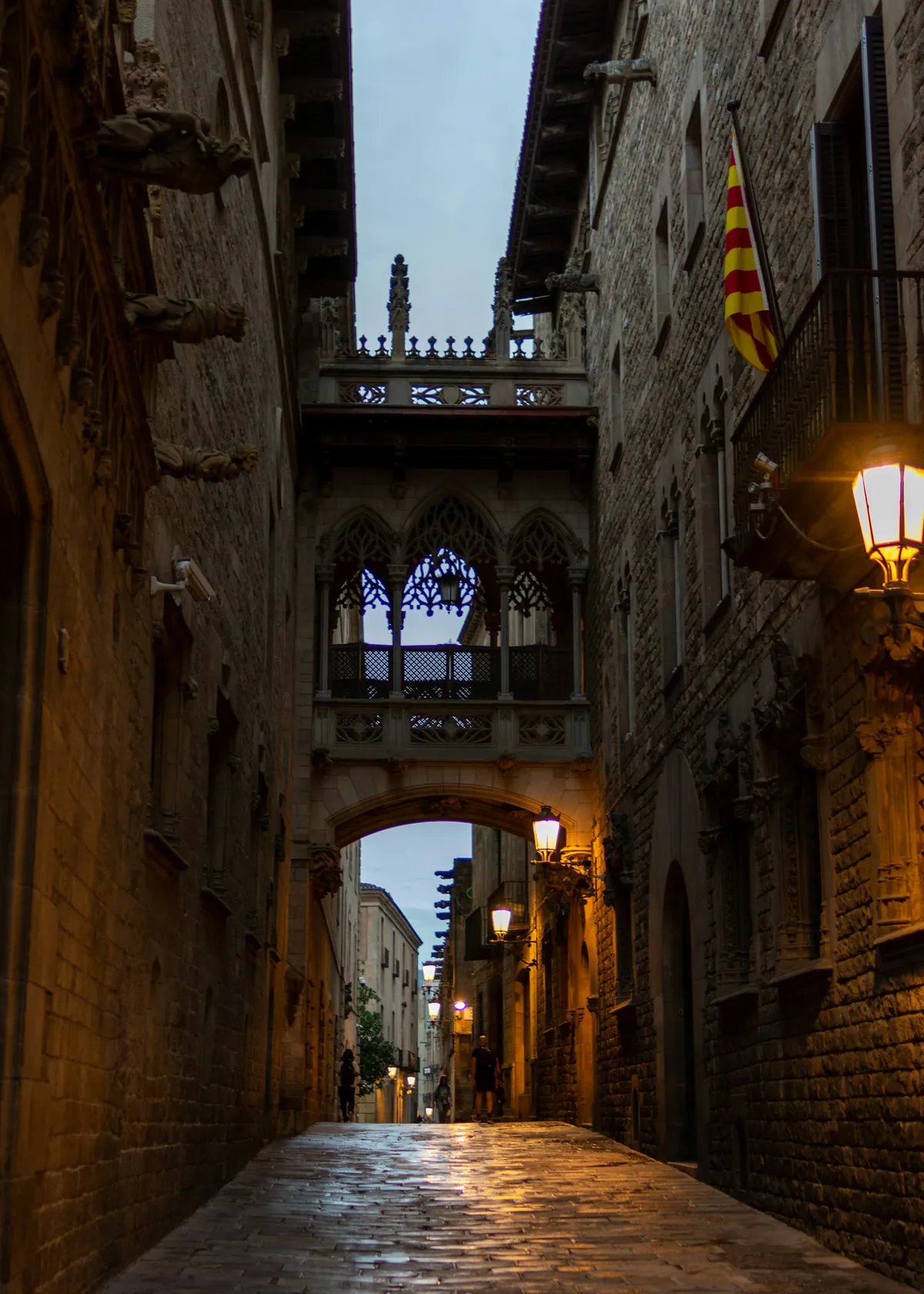 Narrow alleyway with stone bridge in the Gothic Quarter, Barcelona