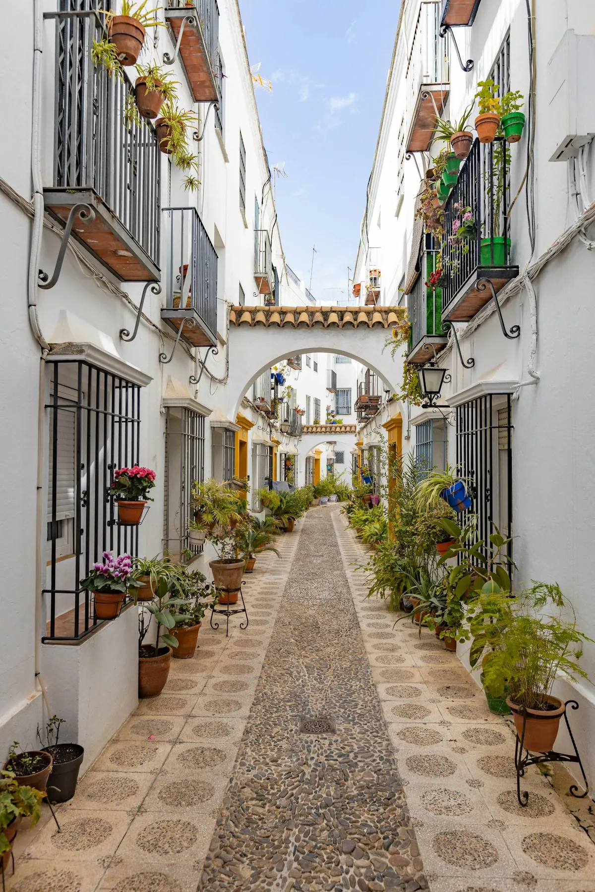 Narrow alley with potted plants in a Cordoba patio