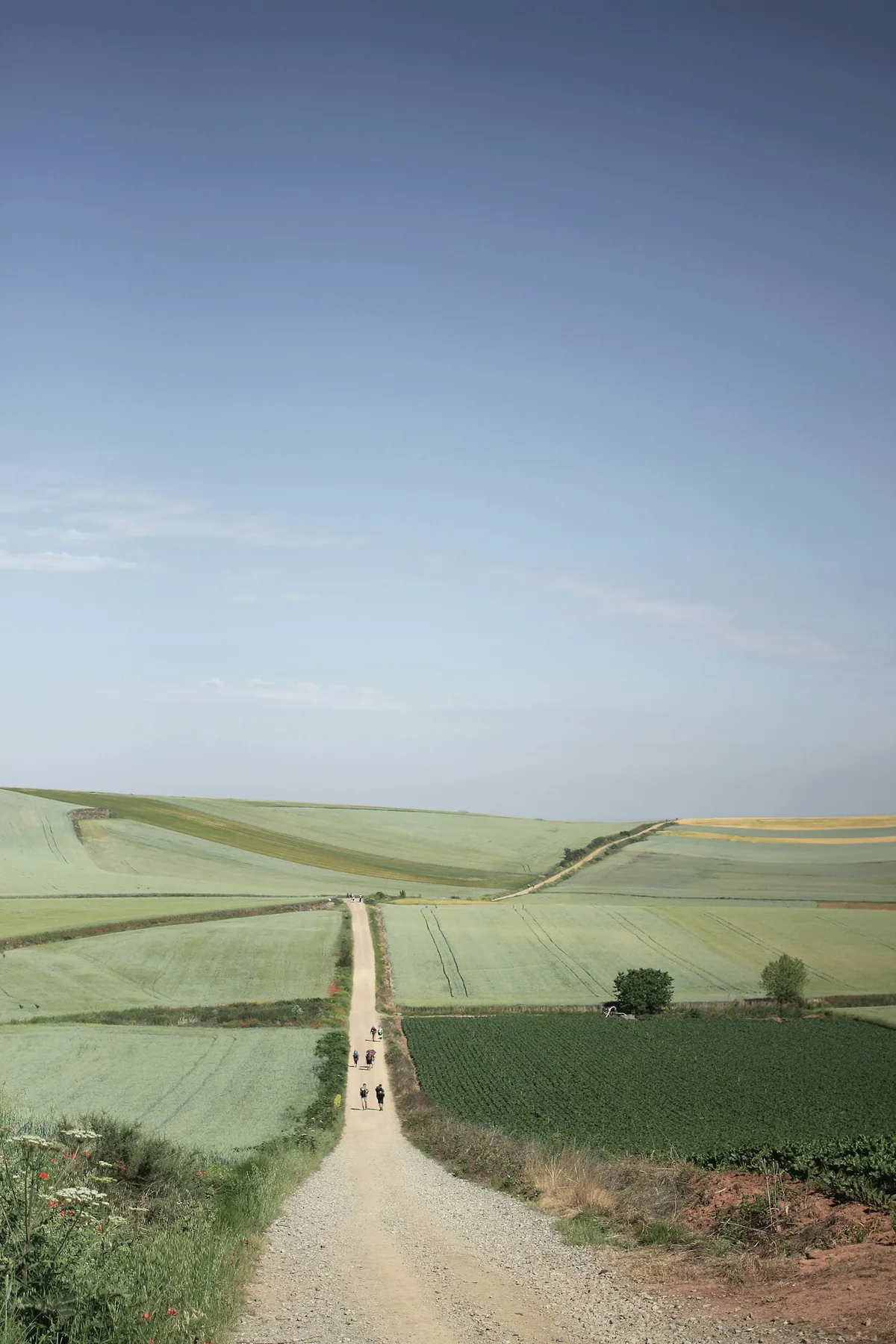 Pilgrims walking the Camino de Santiago route