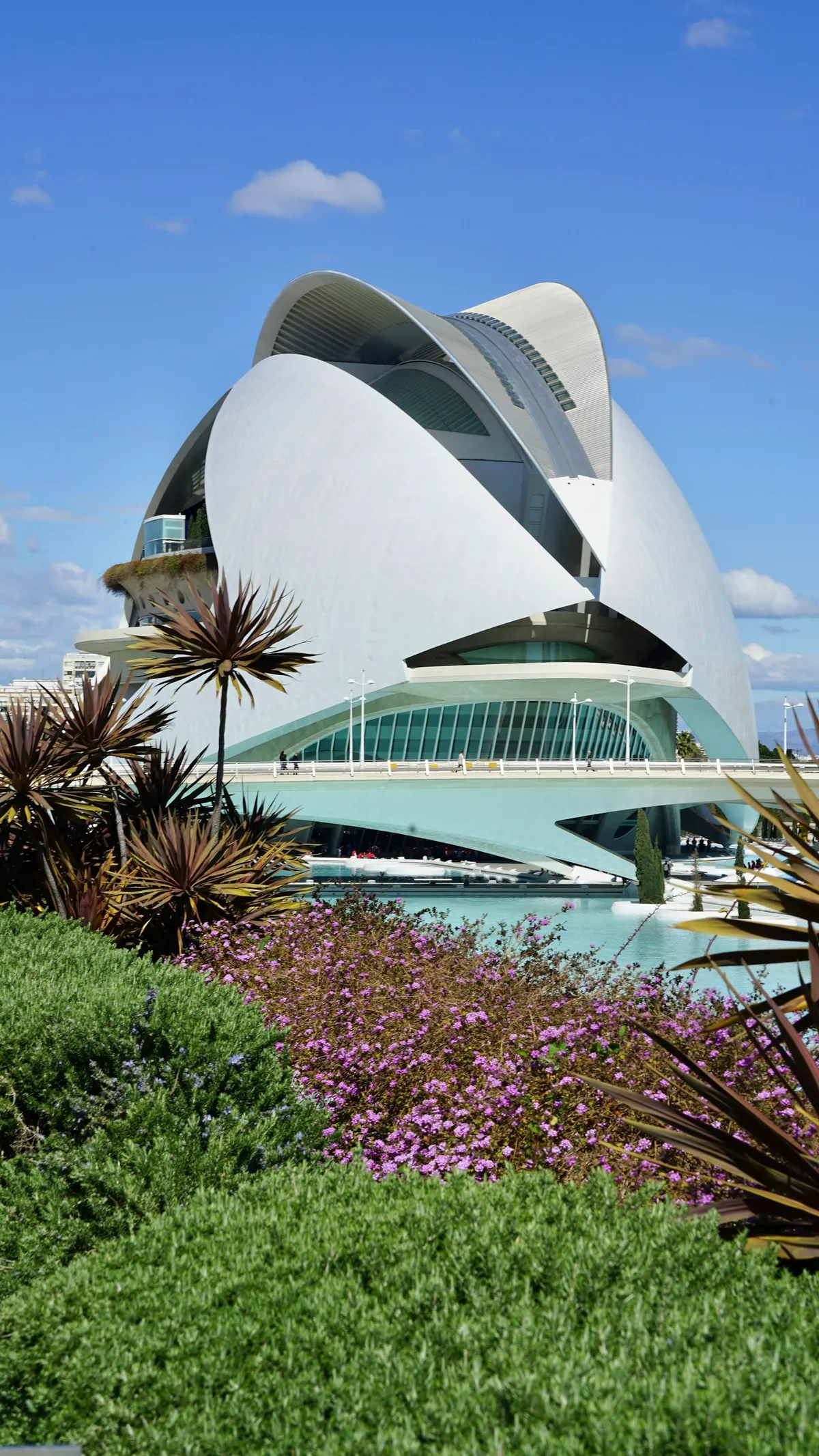 Calatrava architecture at the City of Arts and Sciences under blue sky, Valencia